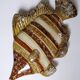 Vintage ceramic wall fish in glazed handmade style, 1970s-1980s.