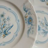 12 antique dessert plates in Chauvigny porcelain