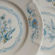 12 antique dessert plates in Chauvigny porcelain