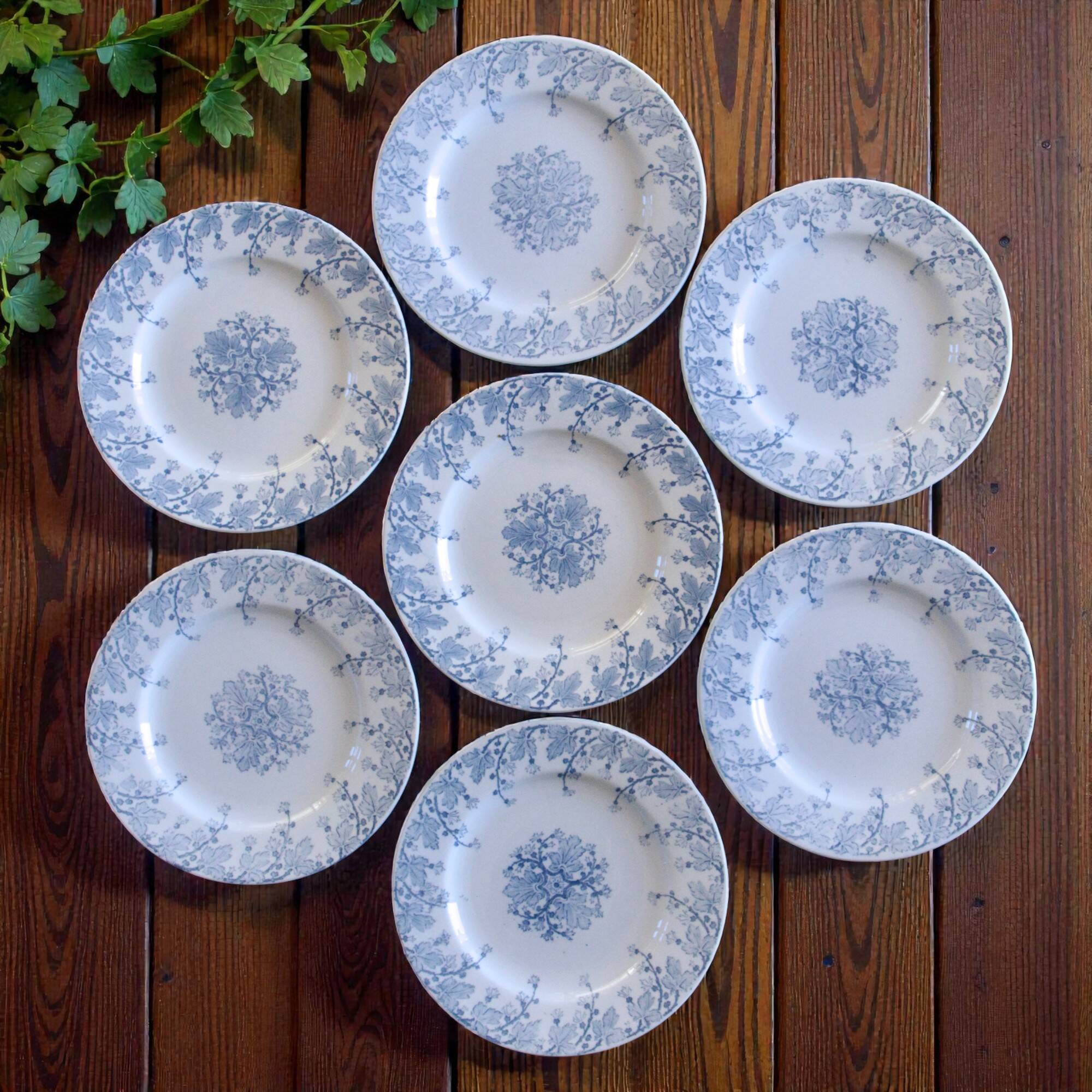 7 19th century ironstone plates signed KG Lunéville, "Neva" collection