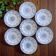 7 19th century ironstone plates signed KG Lunéville, "Neva" collection