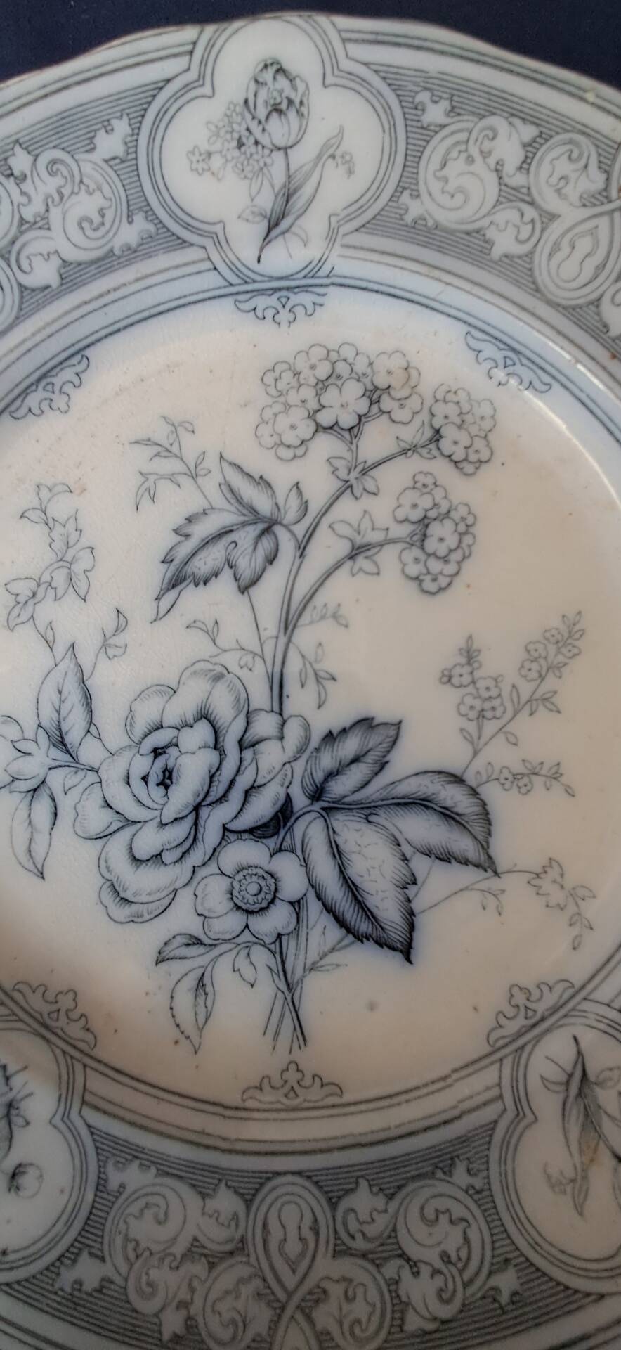 Assiettes en faïence anglaise. 19ème.  Grosvenor China