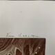 Photo Vienna The Opera Hall 19th century albumen laminated cardboard