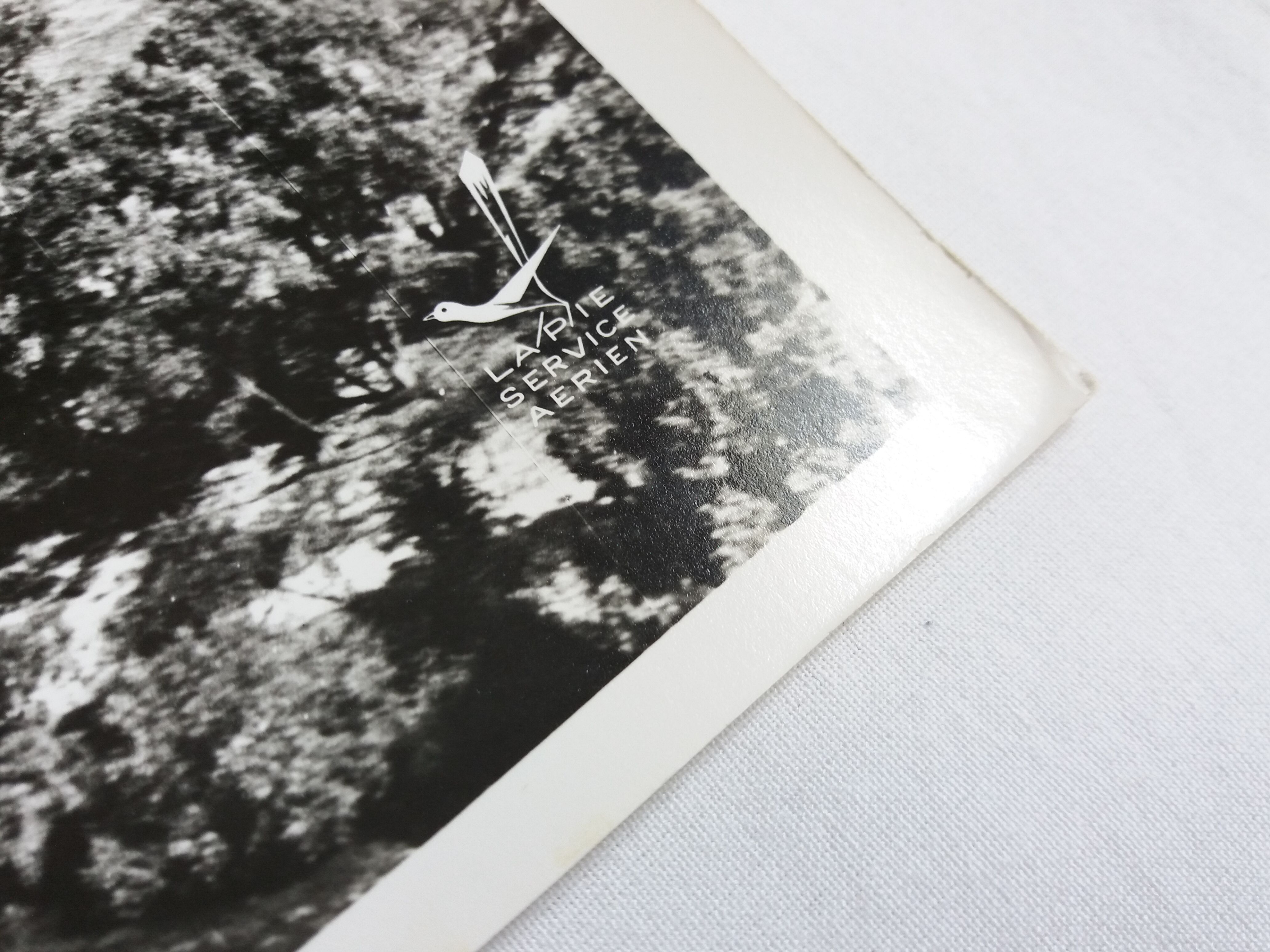 Aerial photograph LaPie 1958 The Marne downstream of Epernay Damery