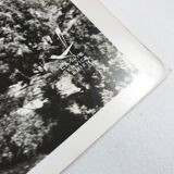 Aerial photograph LaPie 1958 The Marne downstream of Epernay Damery