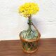 Demijohn wicker basket