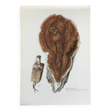 Polypore Mushroom Botanical Illustration. Vintage Print from the 60s.