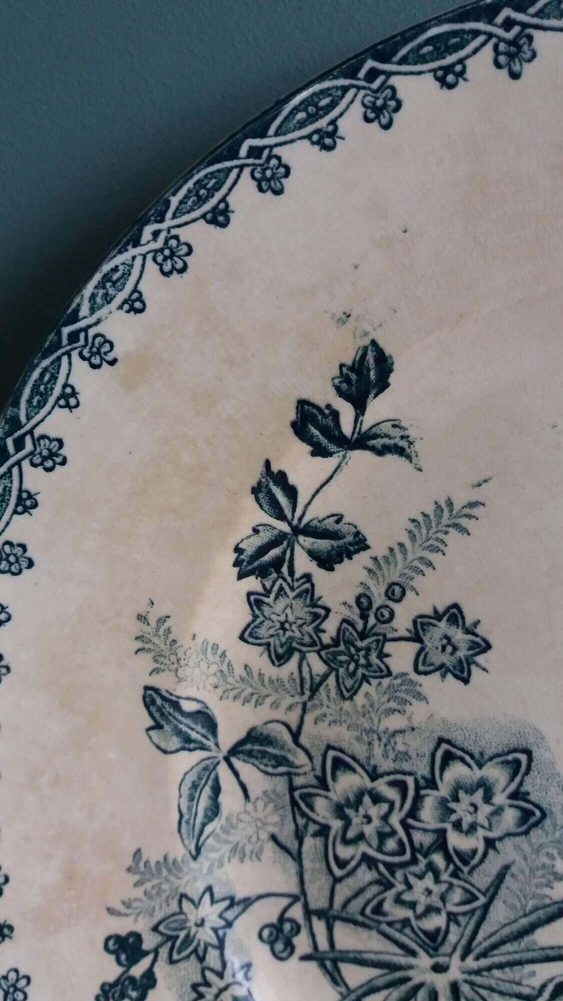 Flat plate, ironstone, Saint Amand, Margot decoration, Amandinoise company, 1920.