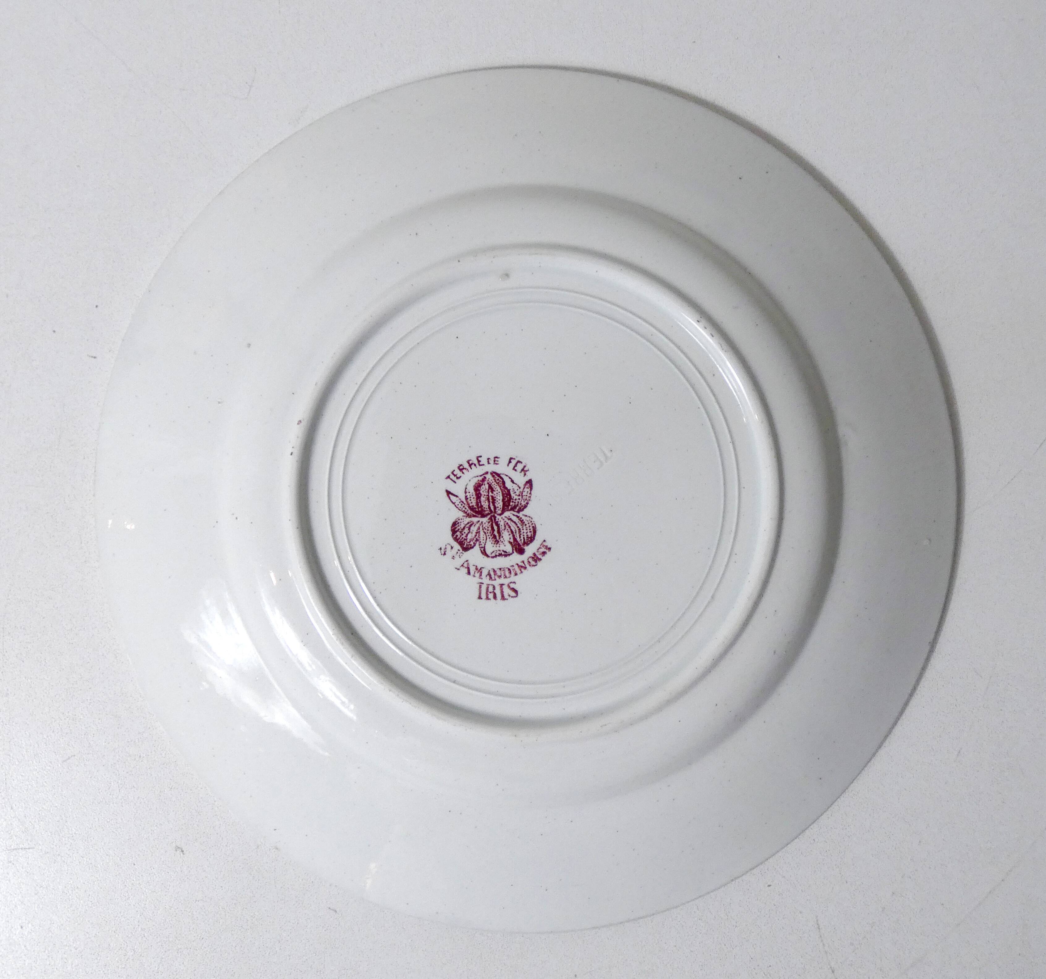 Iron earth flat plate IRIS Ste Amandinoise