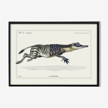 Lithograph engraving chimera animal - the zebrodile