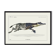 Lithograph engraving chimera animal - the zebrodile