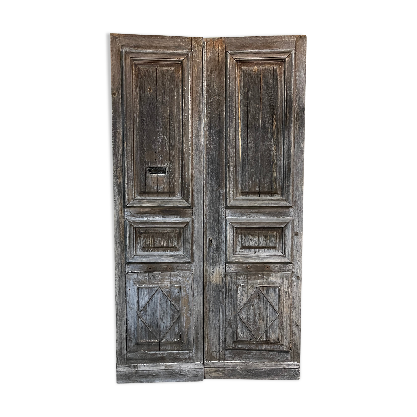 Double old oak door