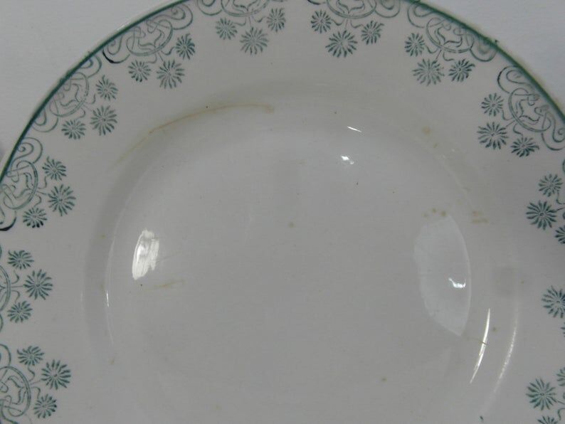 4 flat plates of Digoin and sarreguemines