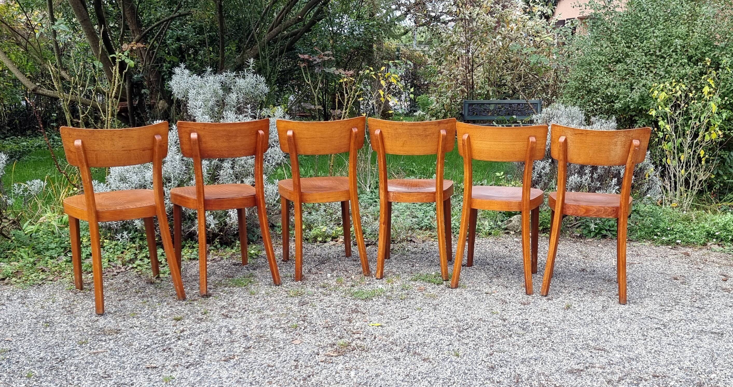 6 "classic" bistro chairs from Horgen-Glarus (Switzerland) 1950s