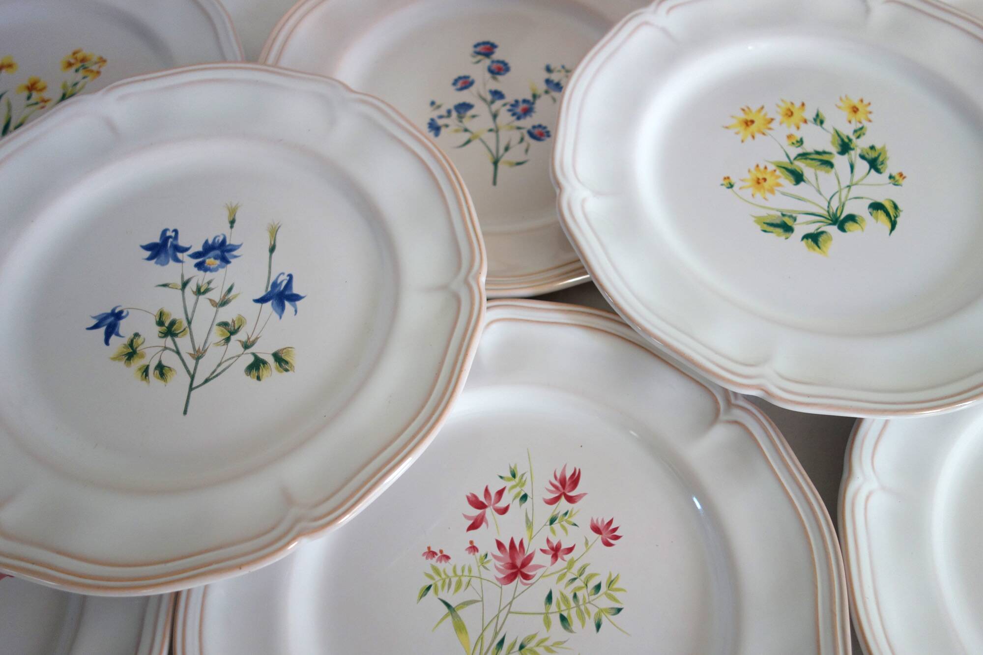 10 large pierre motton plates for gien circa 1930