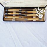 Box of 6 Appetizer Knives in Resin and Metal Vitolas Art Nouveau Style 19th Century