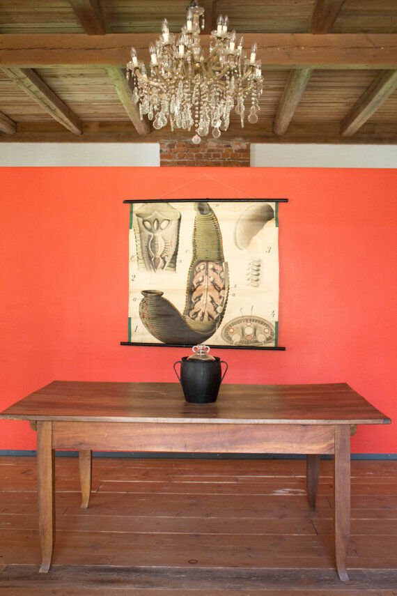 Poster of the 20th century Paul Pfurtscheller Zoological "leech" 1912