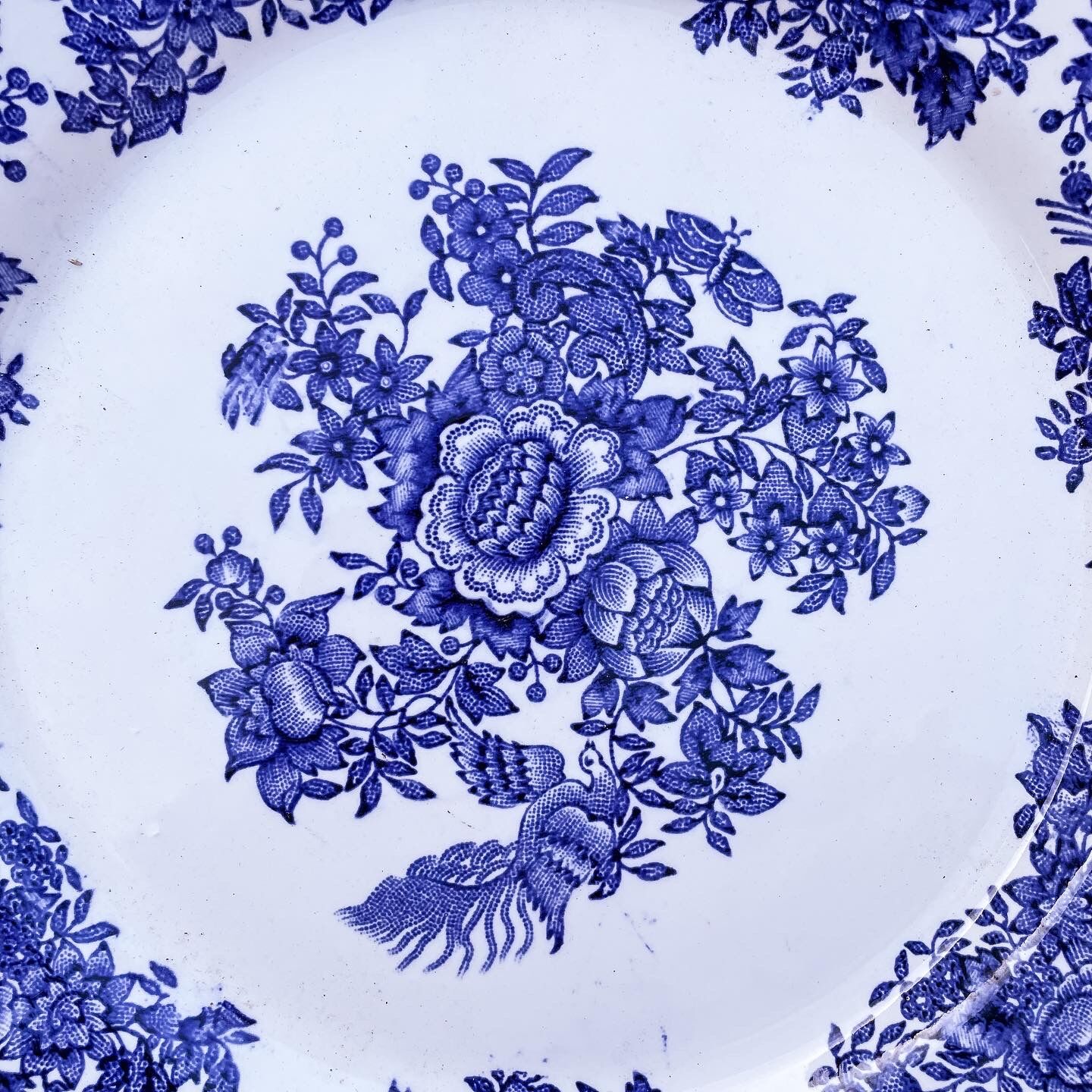 Duo of 2 flat plates Portuguese iron earth