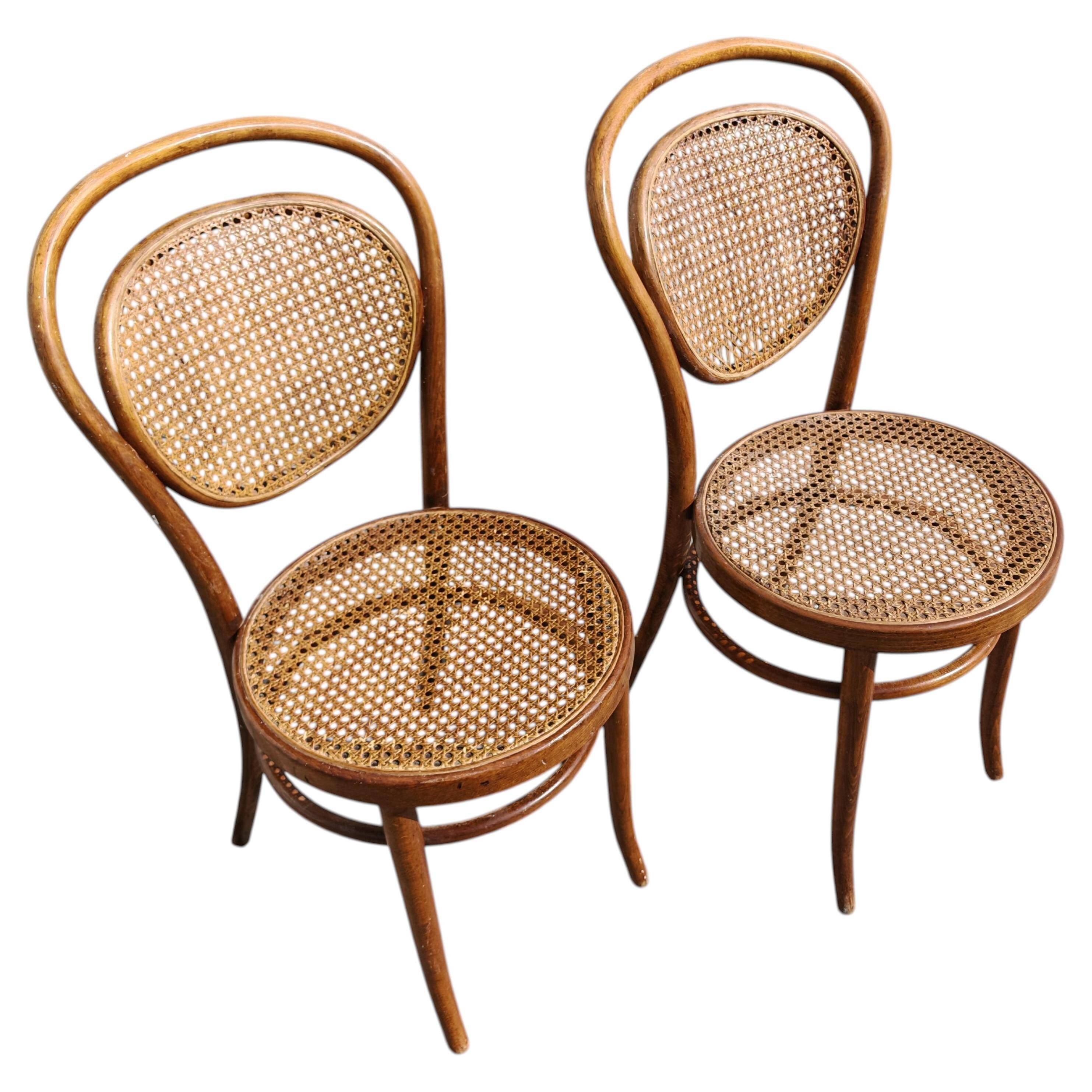 Paire de chaises en cannage et bois courbé par Mundus