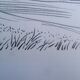 Original drawing in black chalk by Jean Villette (1913-2005)