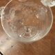 35 signed Saint-Louis crystal glasses – antique engraved floral decoration
