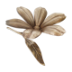 Brass flower ashtray