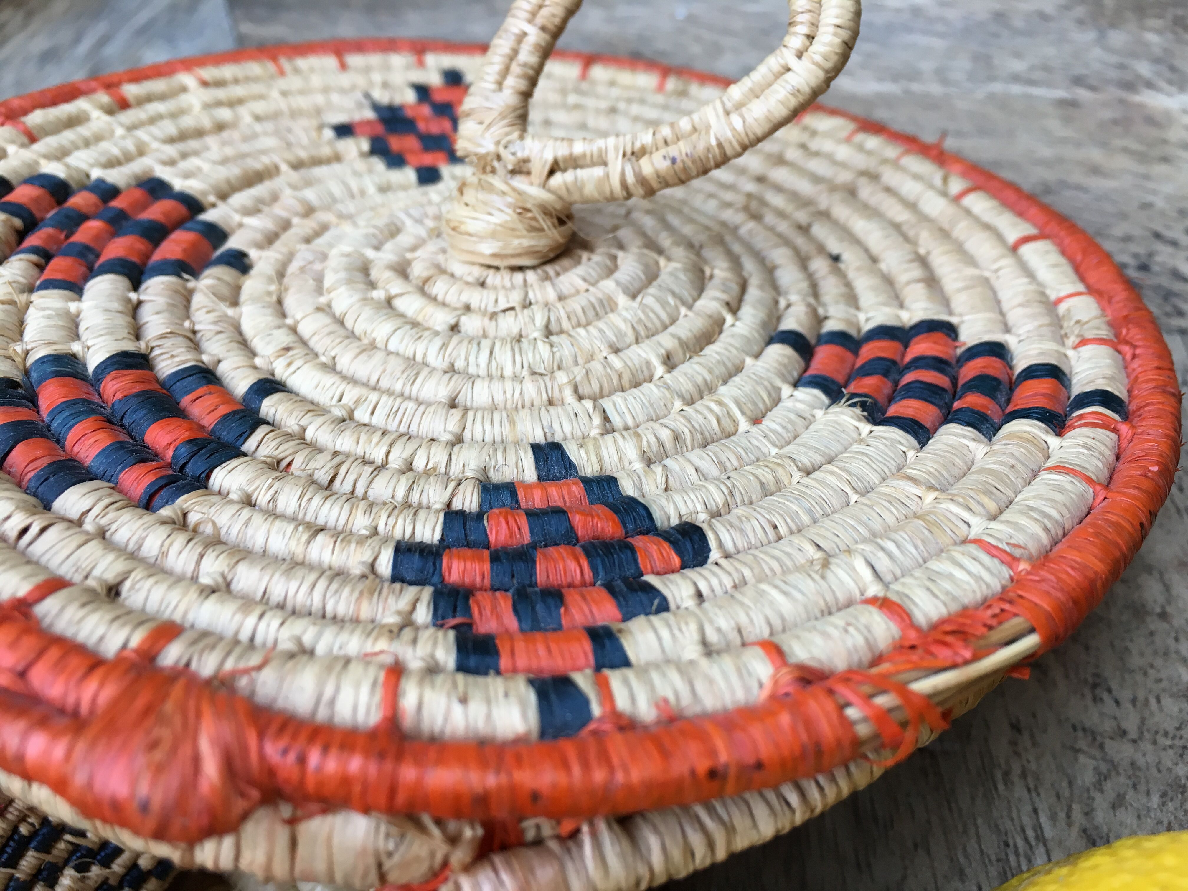 African lidbox and raffia cockroaches