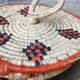 African lidbox and raffia cockroaches
