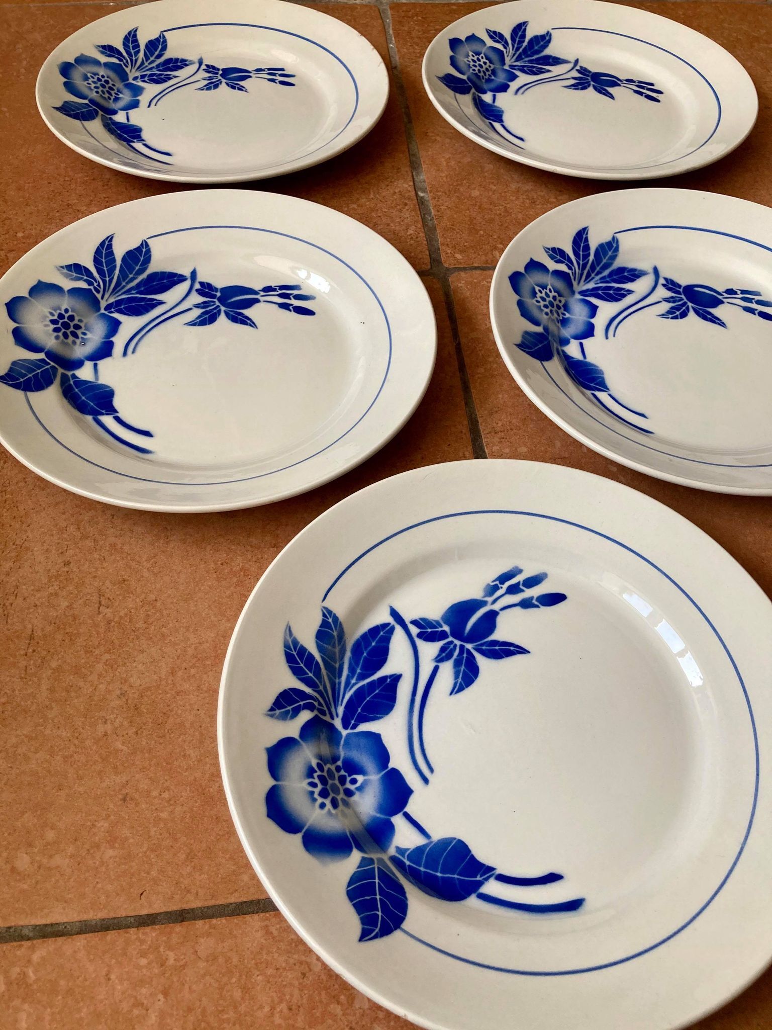 Lot of 5 plates Digoin Sarreguemines model Flora