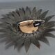 Wall lamp forming sun in gilded brass and with a mirror. Vintage 50s.