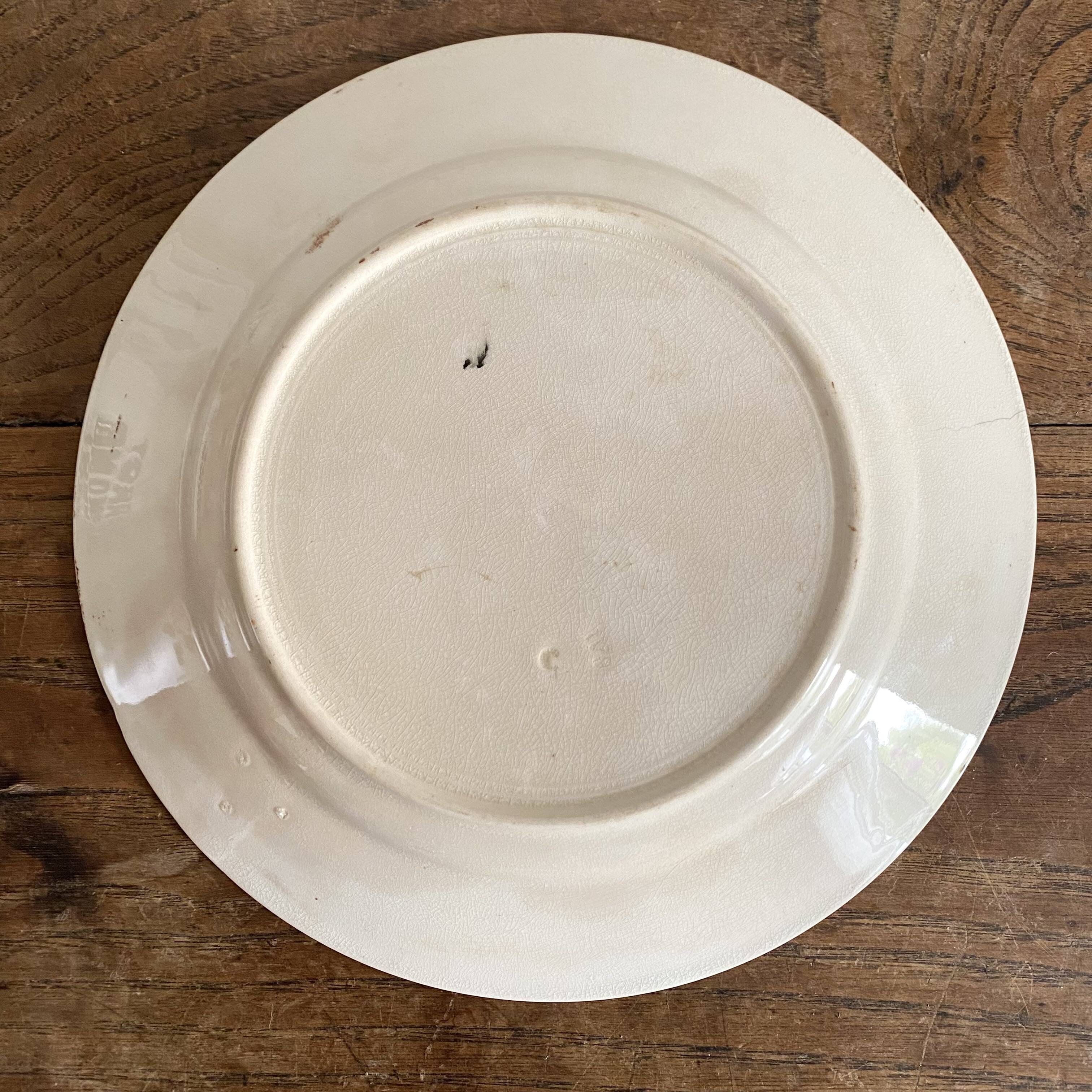 Onnaing Liseron ironstone soup plates