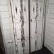 Pair of old shutters