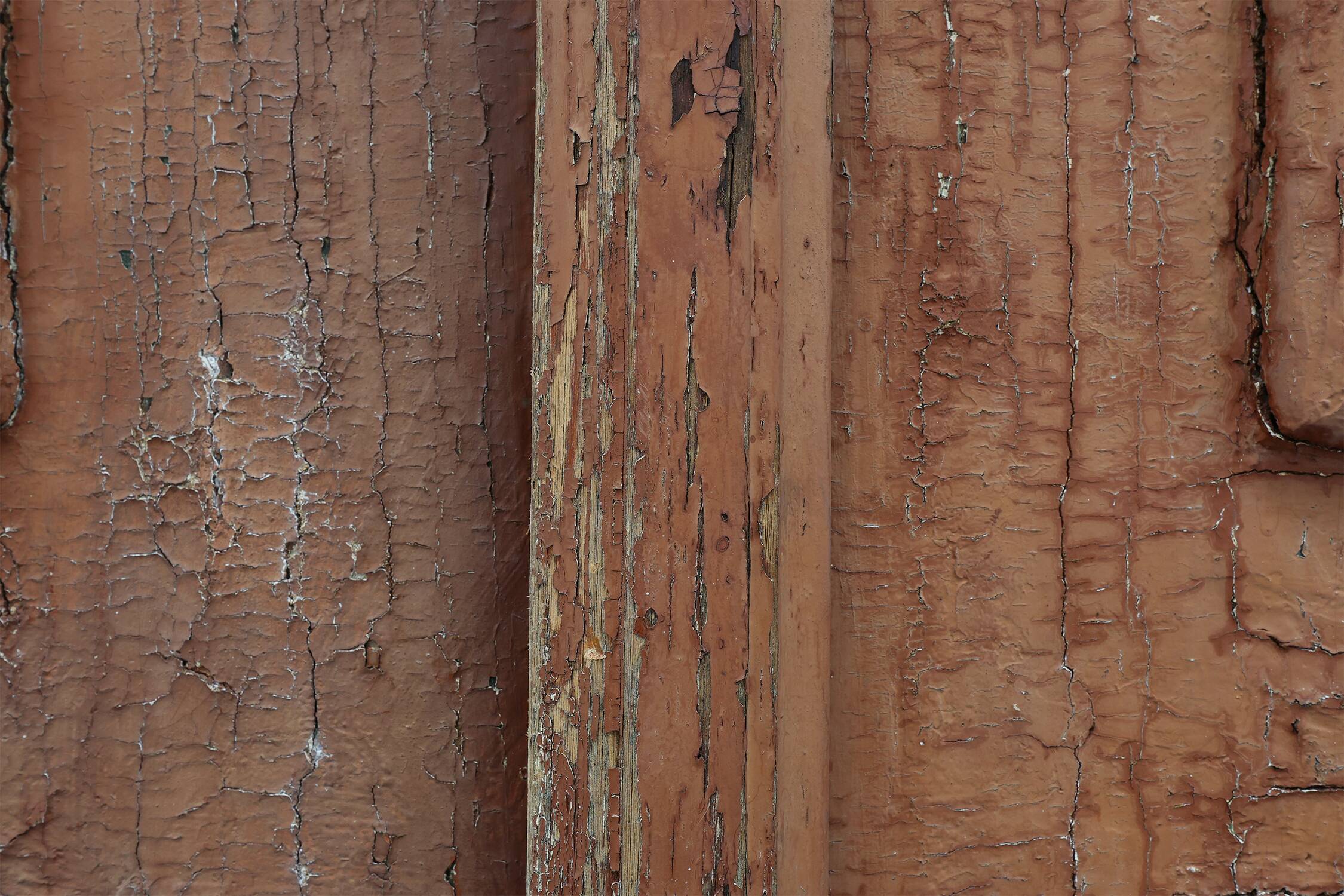 Large 17th century Monastery doors in terracotta lacquered oak, Portugal
