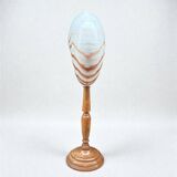 Tiger nautilus shell on a wooden stand, 19th century, Cabinet of curiosities