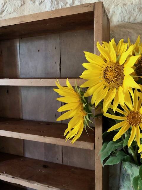 Antique wooden craft shelf