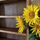 Antique wooden craft shelf