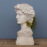 Head David in full plaster