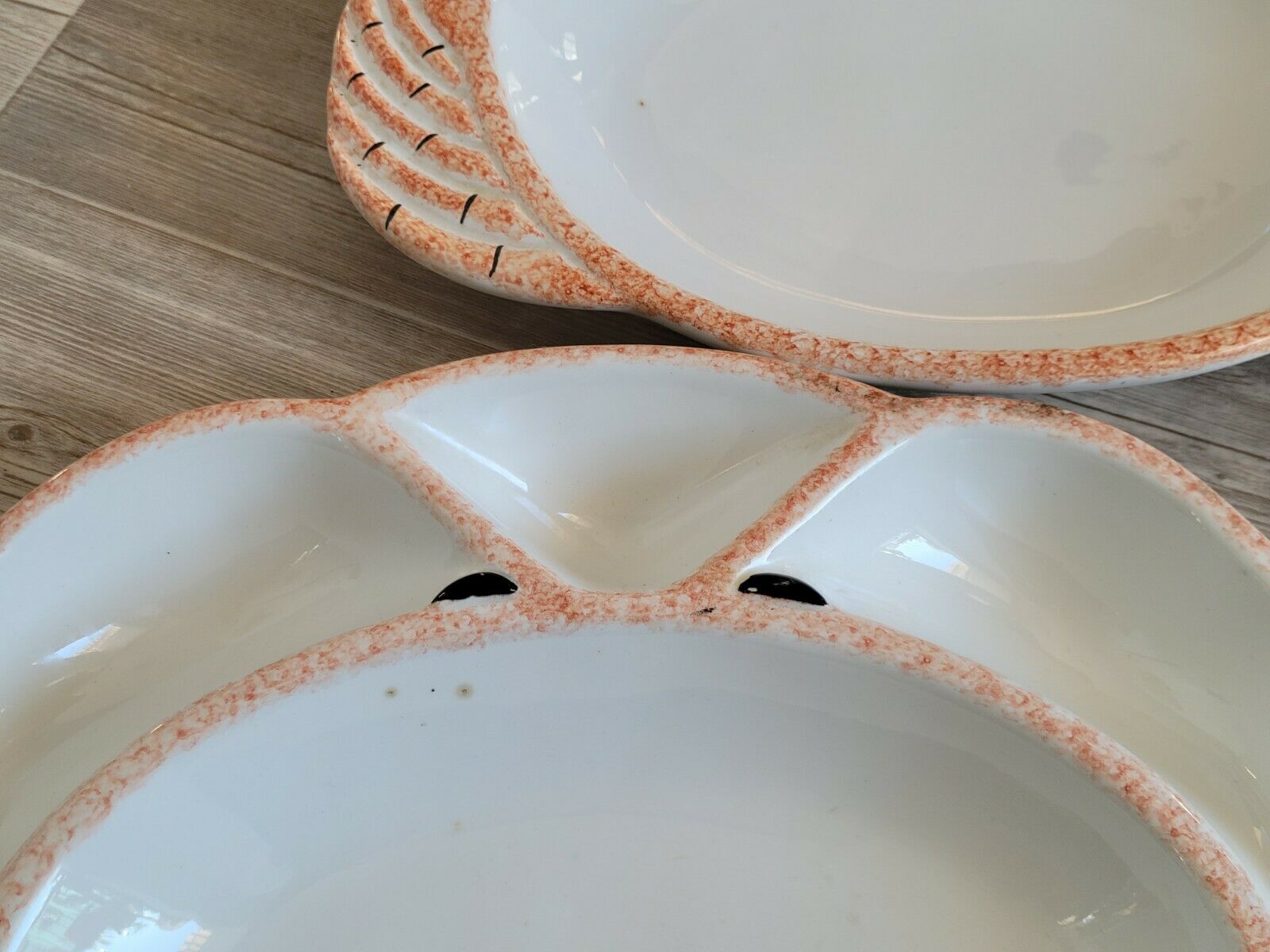 6 compartmentalized plates form crustacean crab