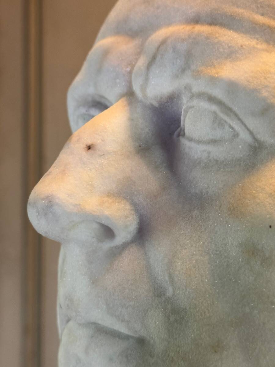 Bust of Emperor Galba, white Carrara marble, 18th century.
