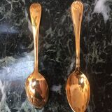 12 teaspoons - gold metal - Shell decoration - in their case