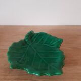 Empty vine leaf pocket Vallauris