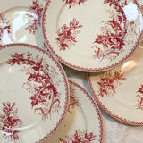 Flat plates thistle pattern