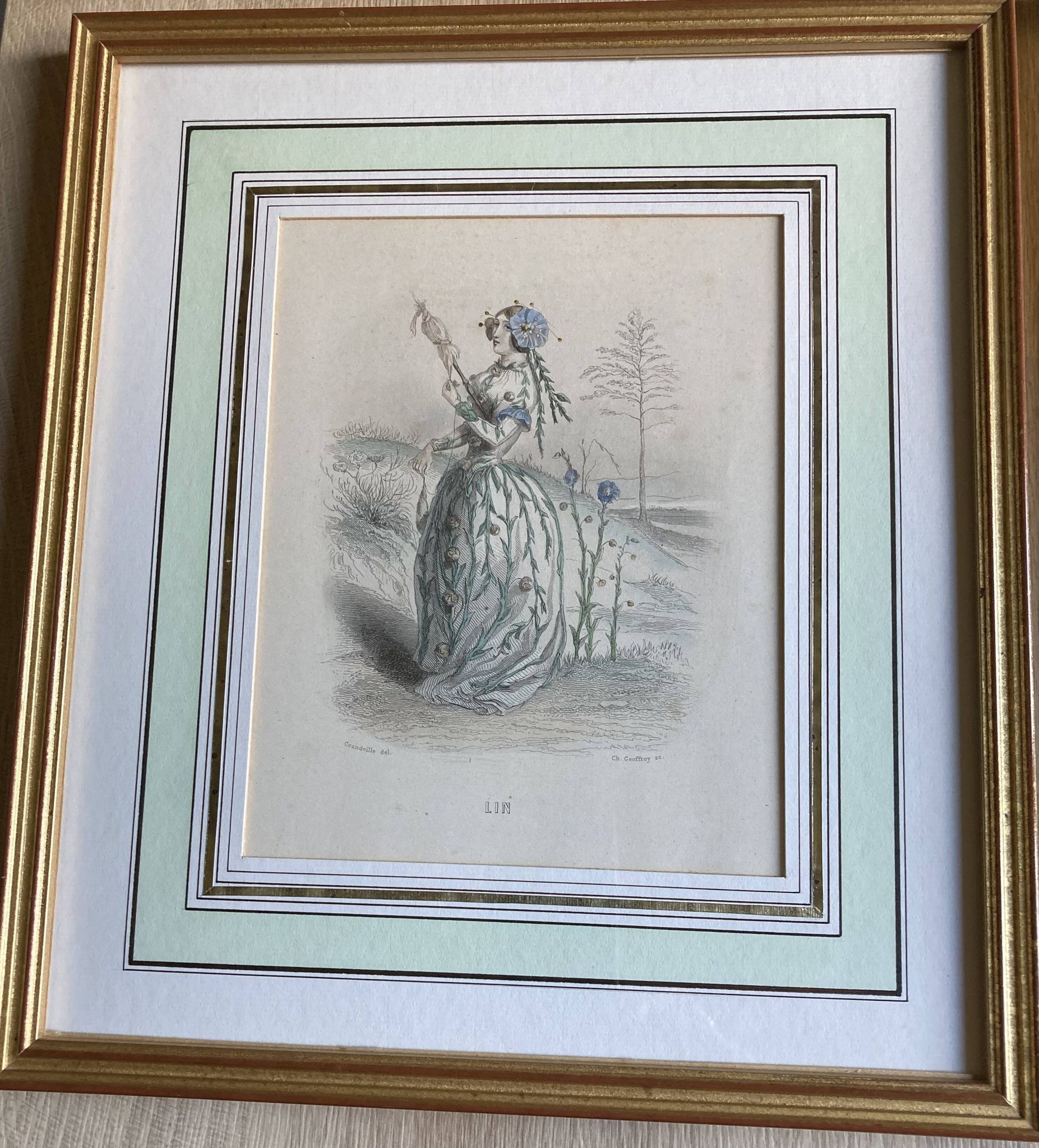 Lot 2 framed engravings "animated flowers" JJ Grandville: Linen and Tulip
