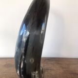 Polished beef horn on brass base