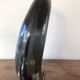 Polished beef horn on brass base