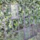 Industrial arched metal window L128xH114 19th century glass roof 2 leaves
