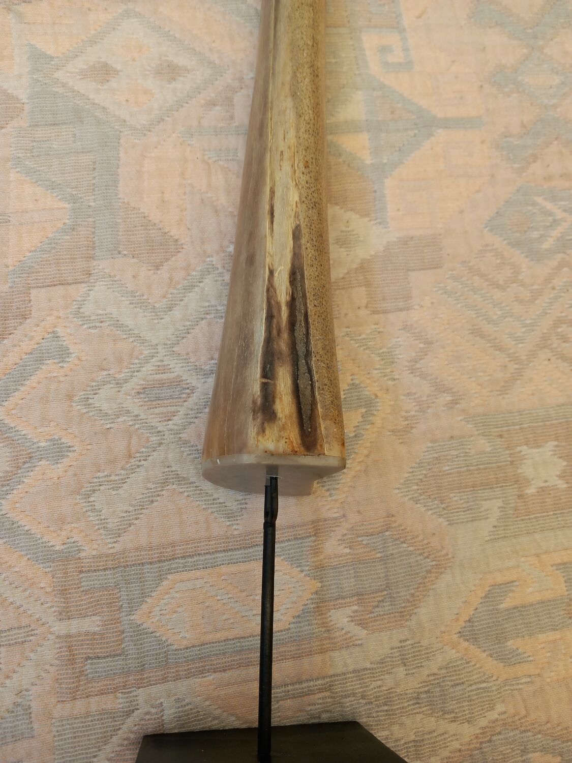 Rostrum marlin on Metal base sport fishing