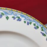 5 large flat plates guy degrenne model tuscany porcelain limoges