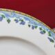 5 large flat plates guy degrenne model tuscany porcelain limoges