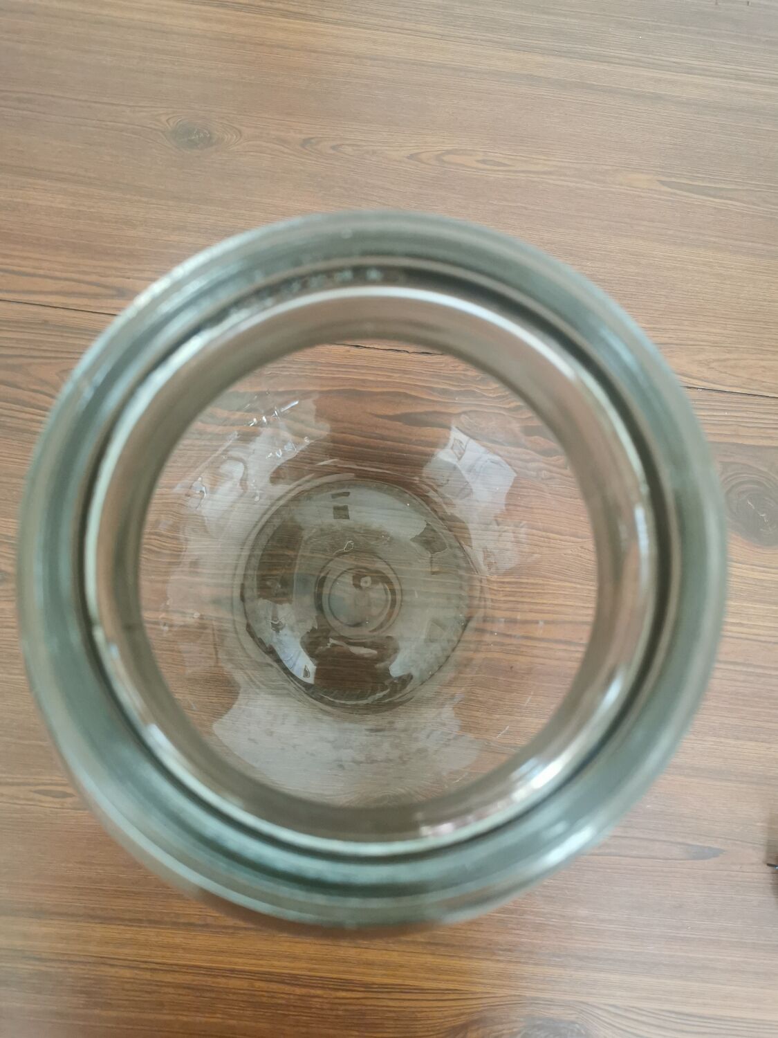 Ambrosia bottle